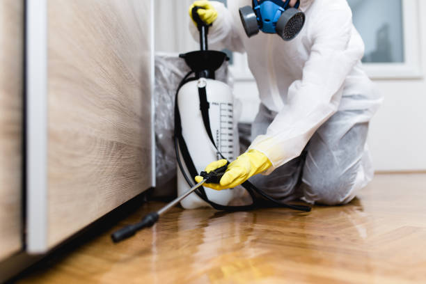 Best Residential Pest Control  in Catahou, LA