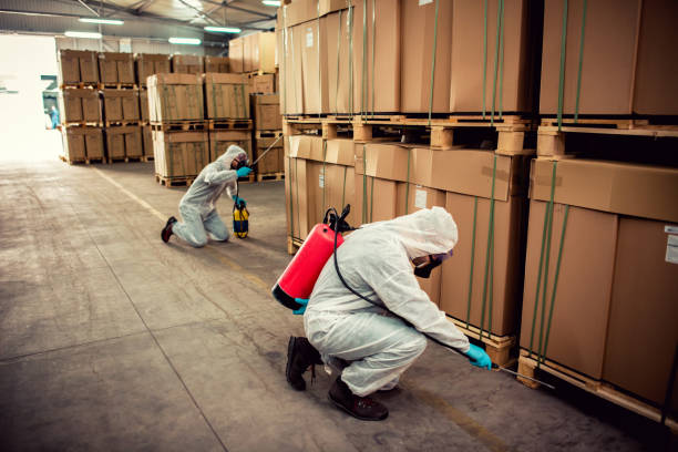 Best Affordable Exterminators  in Catahou, LA