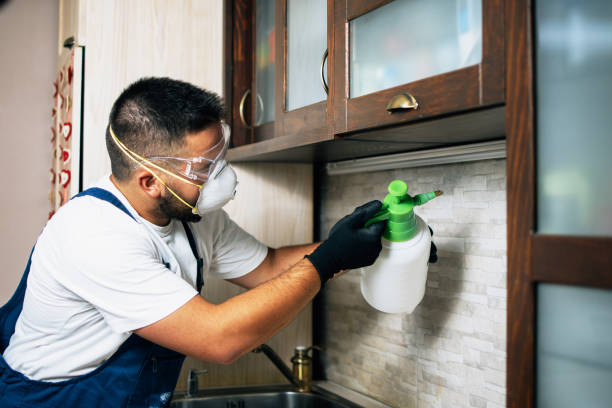 Best Mosquito Control Services  in Catahou, LA