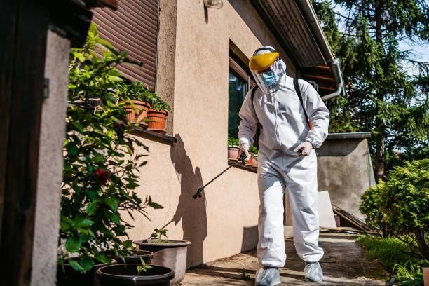 Best Local Pest Control Services  in Catahou, LA