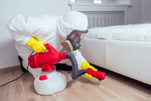 Best Pest Removal Services  in Catahou, LA