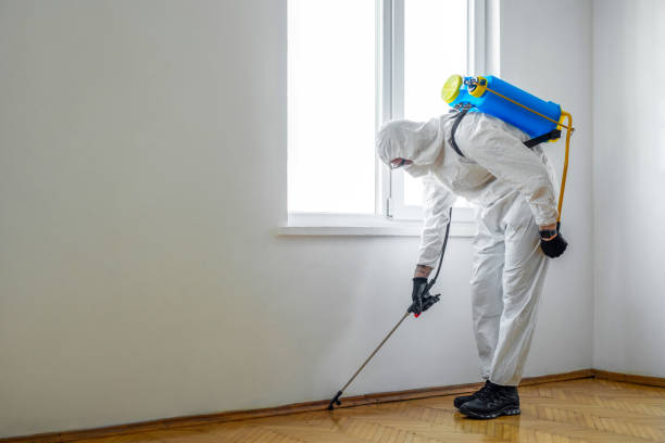  Catahou, LA Pest Control Pros