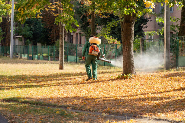  Catahou, LA Pest Control Pros
