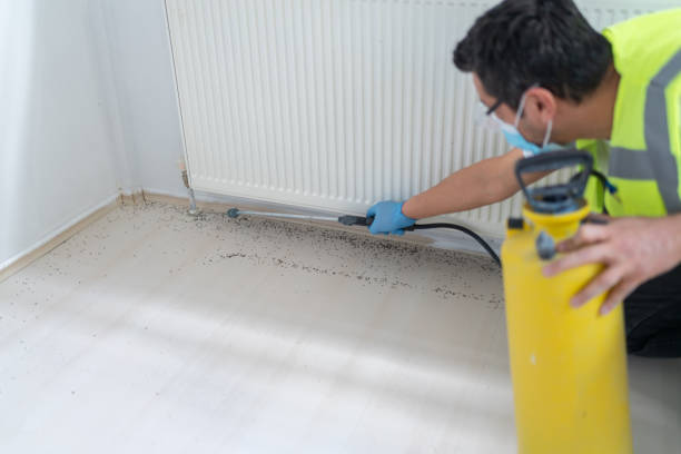 Best Cockroach Control Services  in Catahou, LA